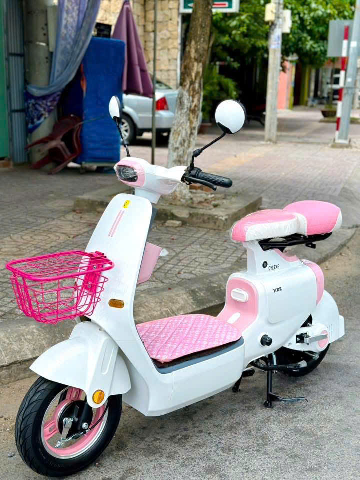 Xe Đạp Điện K1 Plus DYLEXE - Ảnh 6