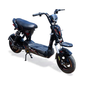 Xe đạp điện