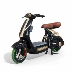 xe điện d2 lydevo