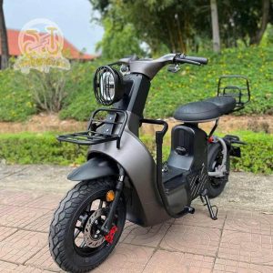 xe đạp điện type 3