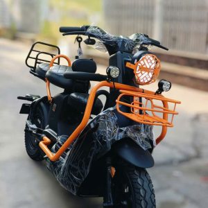 xe đạp điện type 3