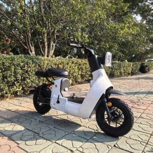 xe đạp điện type 3