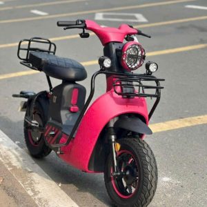 xe đạp điện type 3
