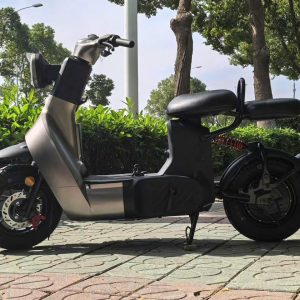 xe đạp điện type 3