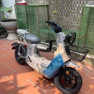 xe đạp điện type 3