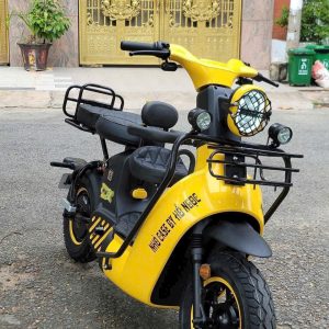 xe đạp điện type 3