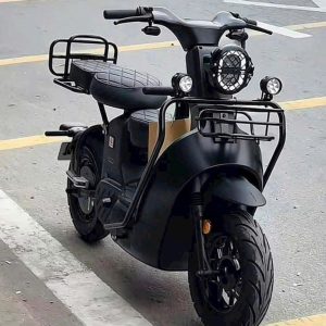 xe đạp điện type 3