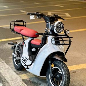 xe đạp điện type 3