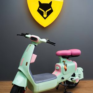 xe-dien-fennic-f1
