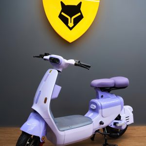 xe-dien-fennic-f1