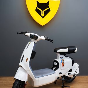 xe-dien-fennic-f1