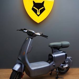xe-dien-fennic-f1