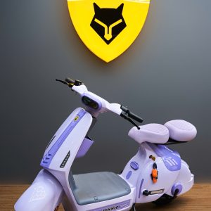 xe dien fennic f2